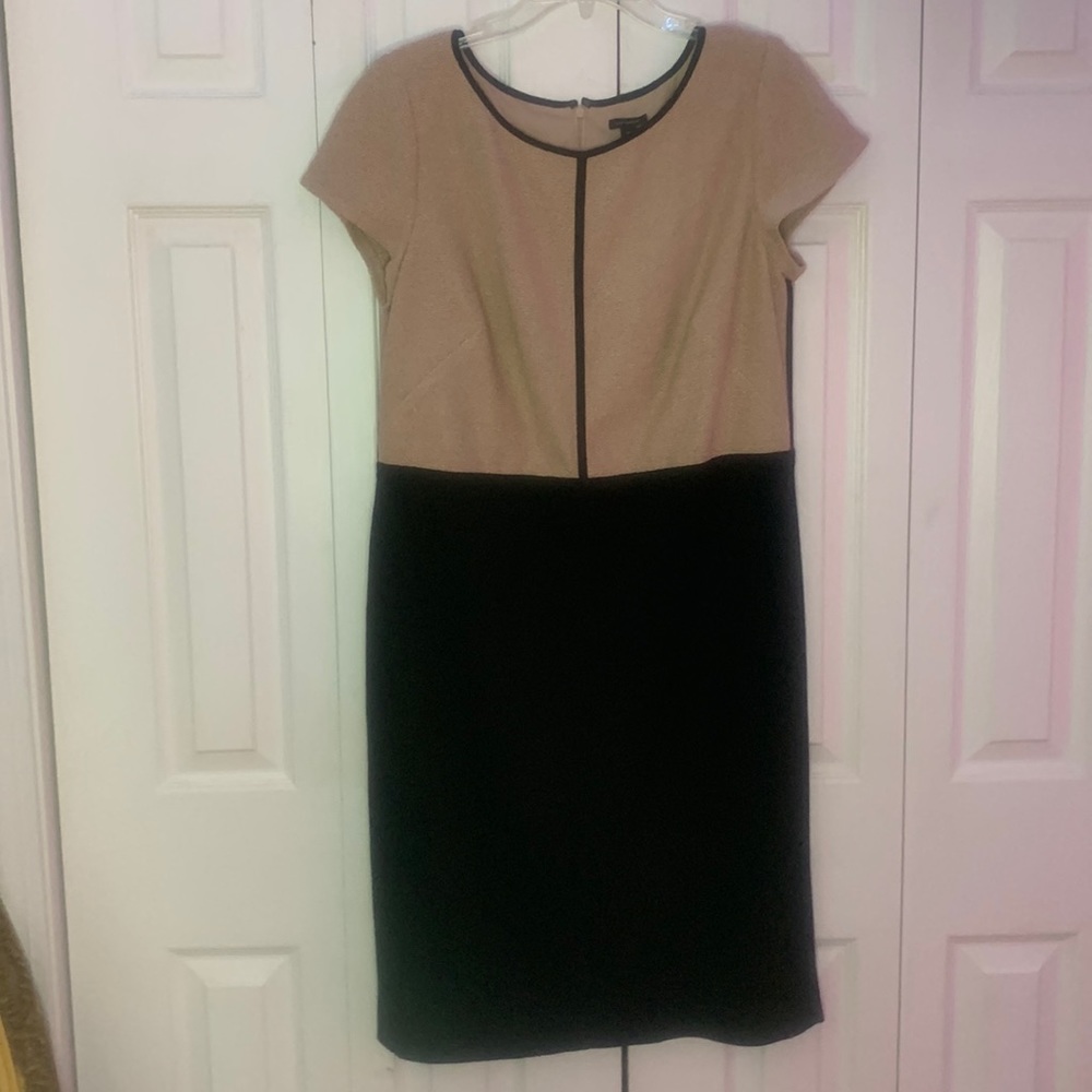 Ann Taylor Black and Tan Short Sleeve Dress||